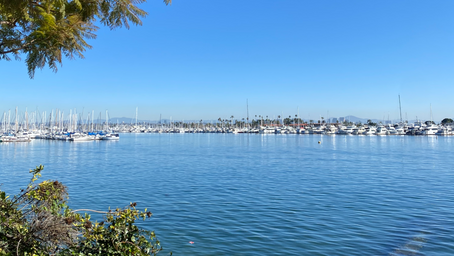 Exploring San Diego's Coastal Beauty on Foot: Top Walks to Try