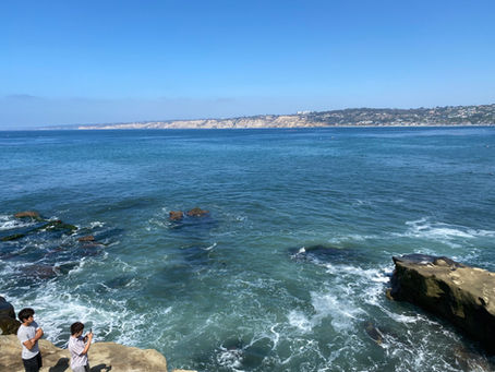 10 Photography Hotspots Along the San Diego Coast