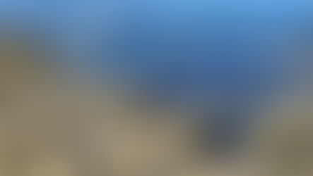 Exploring San Diego Tide Pools