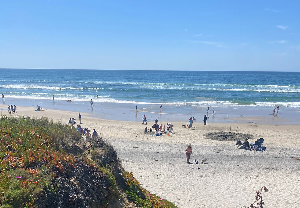 sunny beach day in san diego