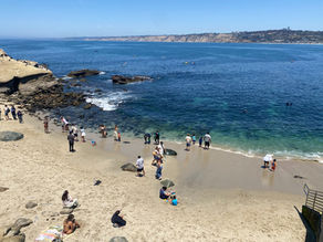 Scuba Diving in San Diego: Best Spots & Tours