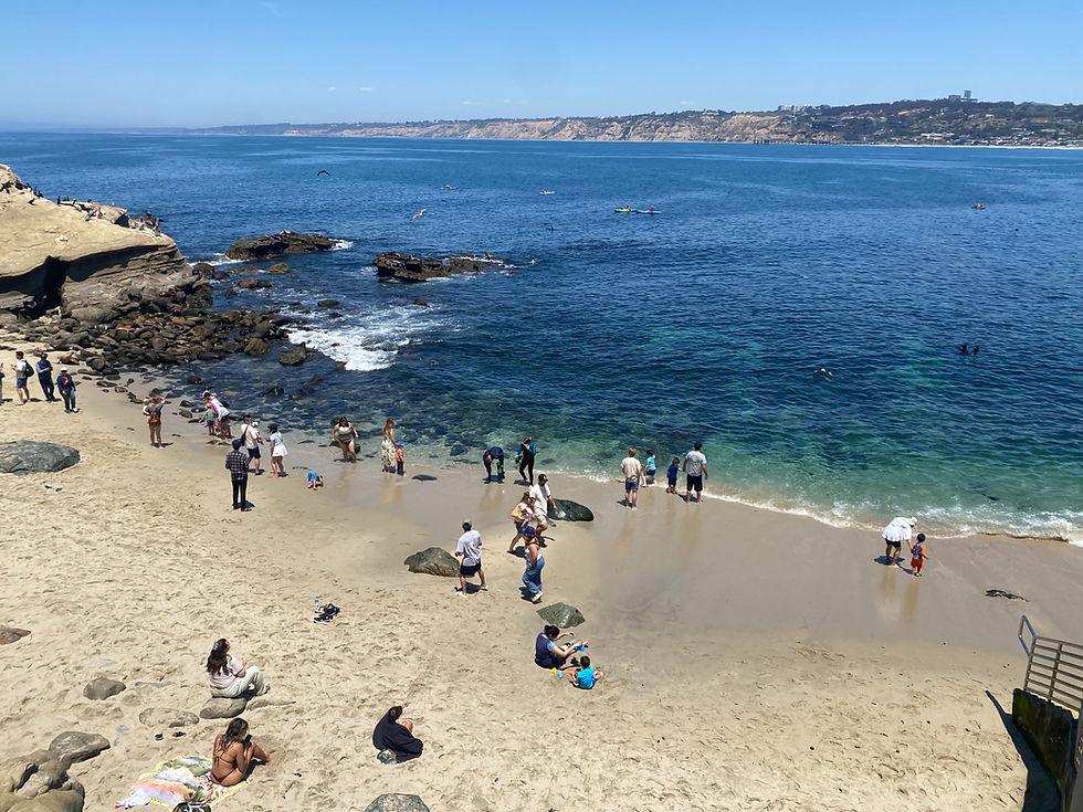 Scuba Diving in San Diego: Best Spots & Tours