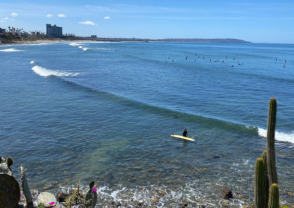 bird rock surfing viewpoint la jolla san diego
