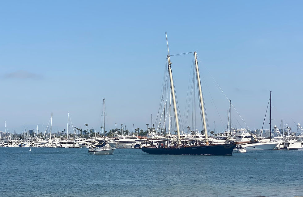 san diego bay boat tour on a vintage sailing yacht