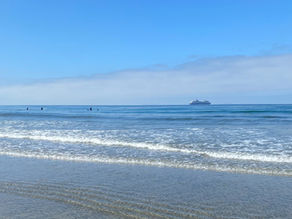 5 Surfing Spots for Beginners in San Diego