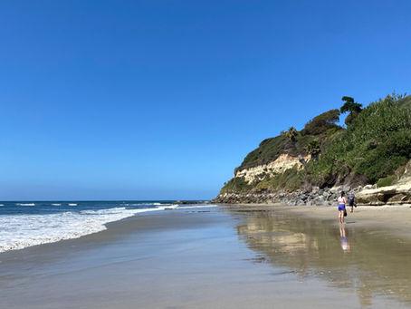 The Coastal Cliffs of San Diego: Scenic Cliffside Walks and Geology