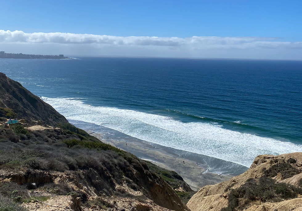 san diego black's beach