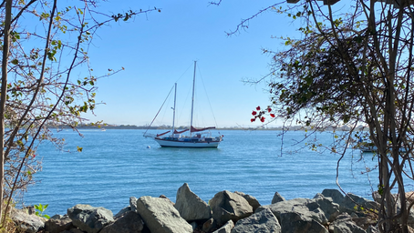 Enjoying San Diego Bay: Spots to Visit Along the Bay
