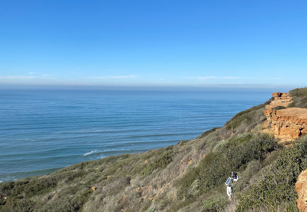 cold ocean temperatures in san diego's winter