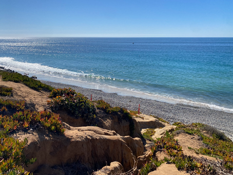 The Most Beautiful Beaches in San Diego