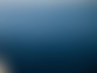 Deep Sea Fishing in San Diego: Best Charters & What You'll Catch