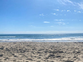 Top Beaches in San Diego: List of the Best Beaches Along the San Diego Coast