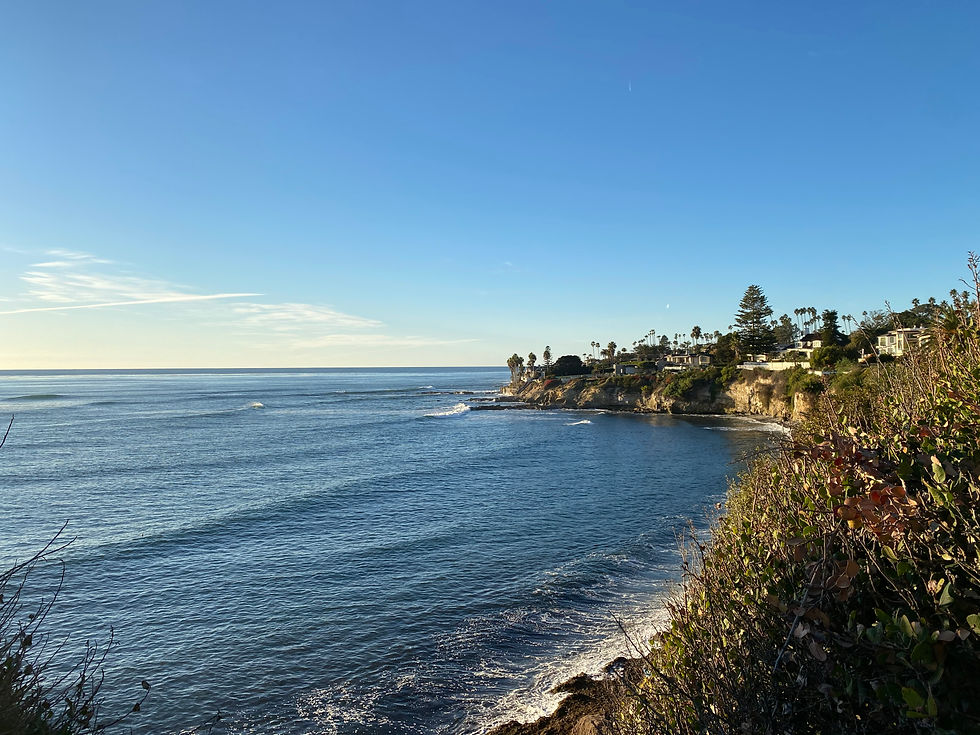 bird rock la jolla san diego