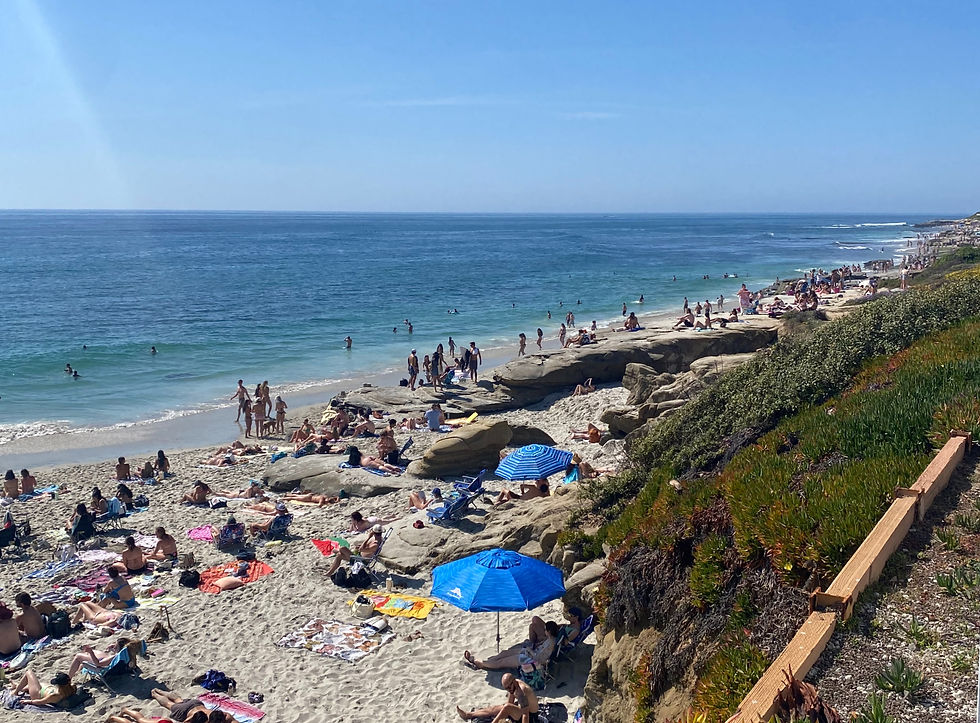 windansea beach on warm sunny day