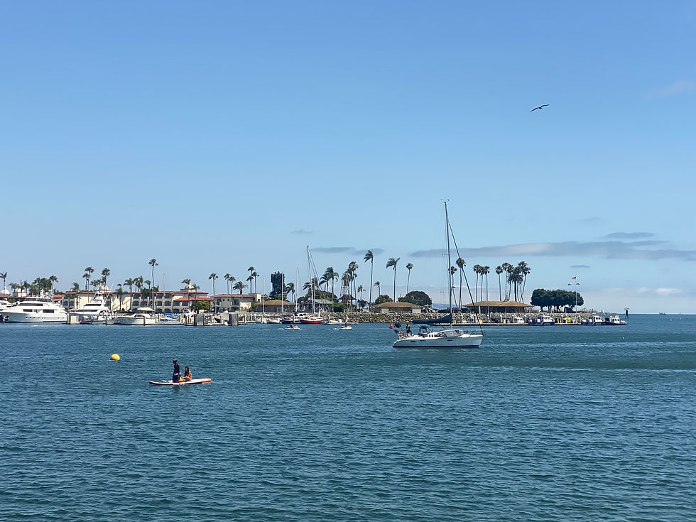 Paddleboarder gliding across calm water on San Diego Bay