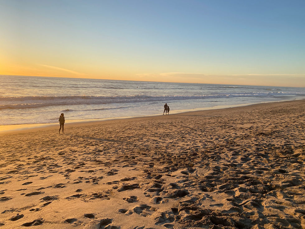 carlsbad beach at sunset