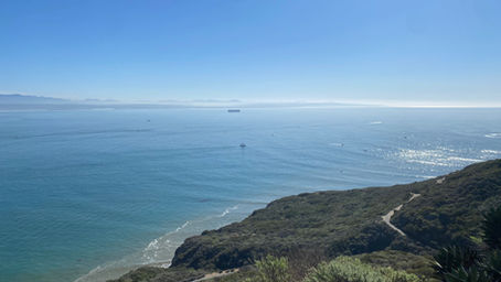Dive into the San Diego Vibe: A Blissful Blend of Sun, Surf, & Charm!
