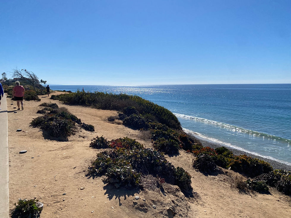 carlsbad beach san diego