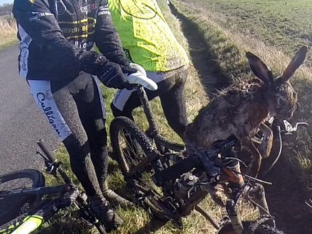 16 fevrier 2014 VTT Gennes Aventures