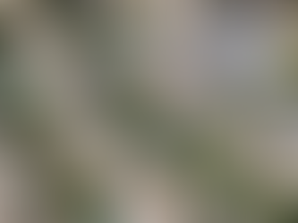 Como a inovação dos drones está influenciando a indústria da construção