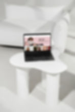 Pampas Site Mockup.jpg