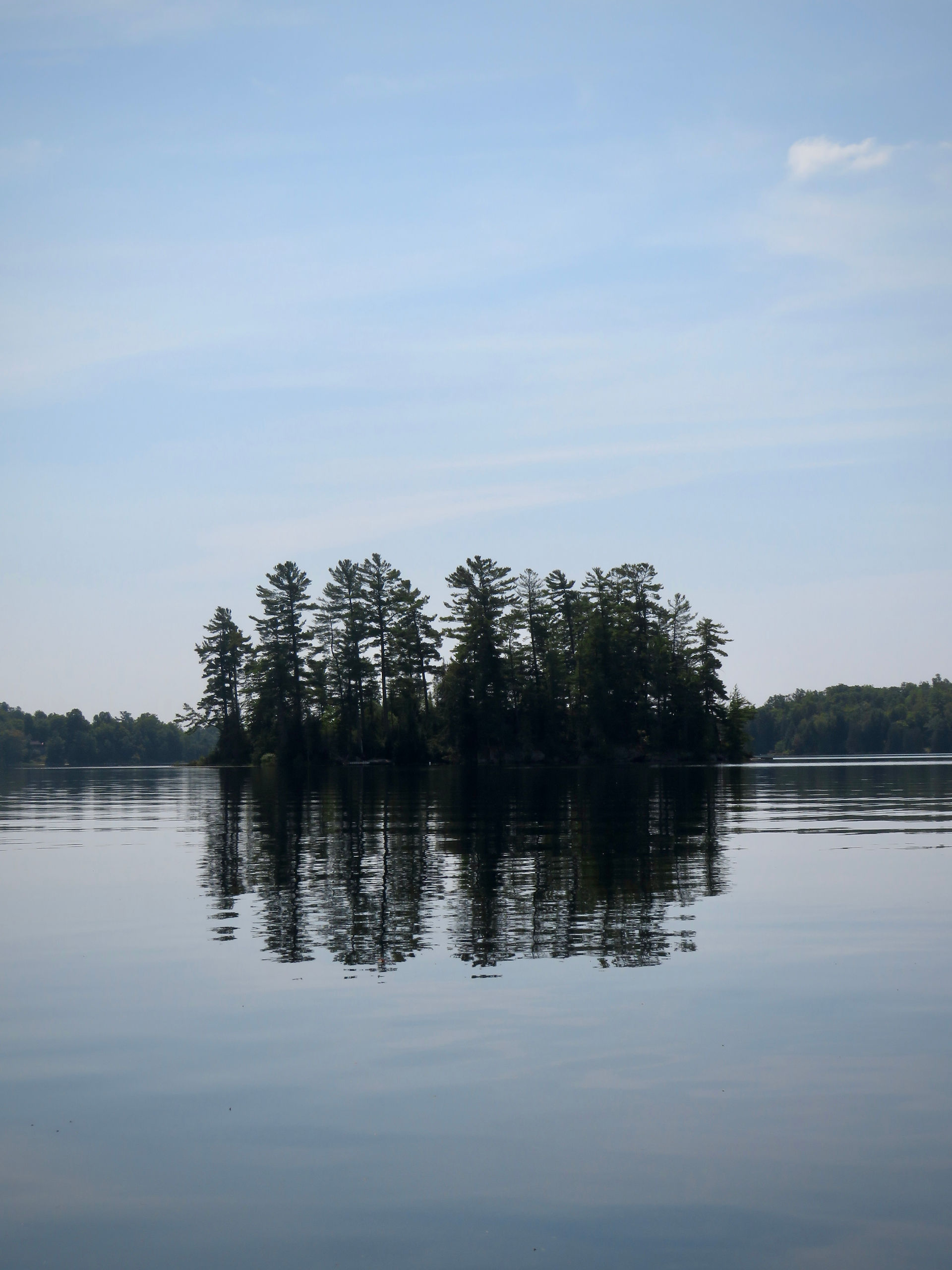 Small island of pines in calm lake