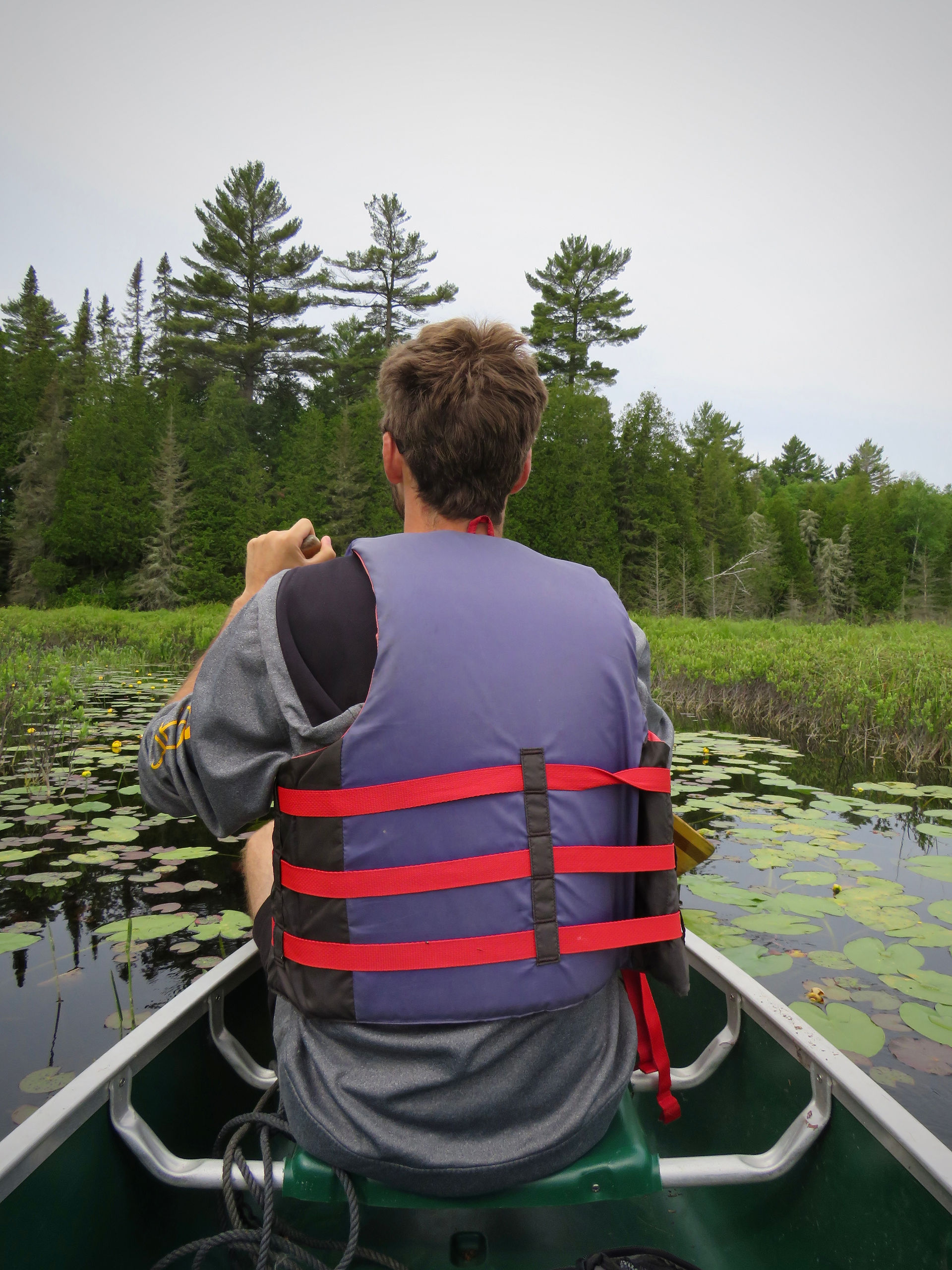 Back of man paddling a canoe