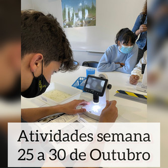Atividades científicas de 25 a 30 de outubro