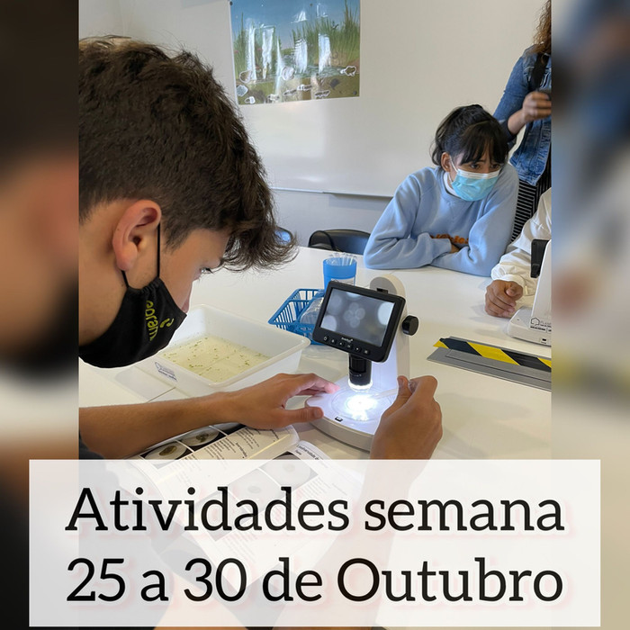 Atividades científicas de 25 a 30 de outubro