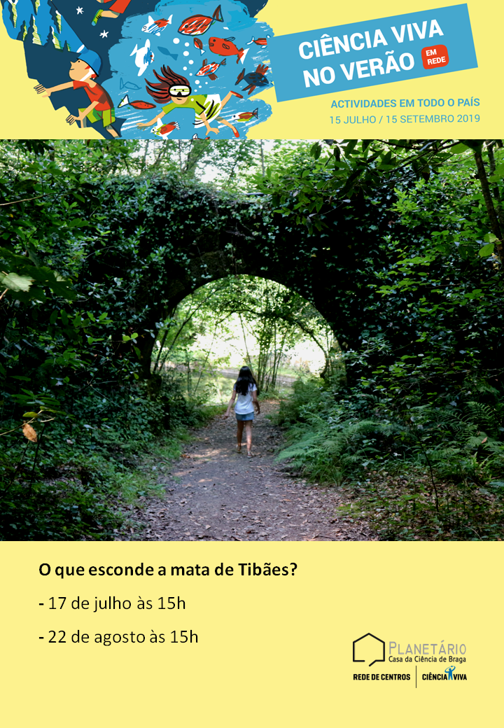 Ciência Viva no Verão em Rede 2019