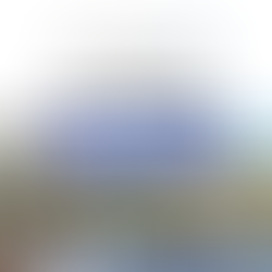 Descobrir as Zonas Húmidas