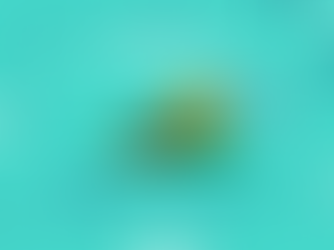 #ciênciaemcasa: respostas do 3º desafio