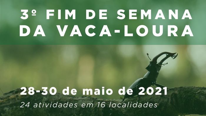 3º fim-de-semana da Vaca-loura