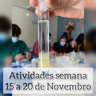 Atividades científicas de 15 a 20 de novembro