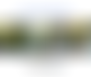 𝑫𝒊𝒂 𝑴𝒖𝒏𝒅𝒊𝒂𝒍 𝒅𝒂 𝑨́𝒈𝒖𝒂 