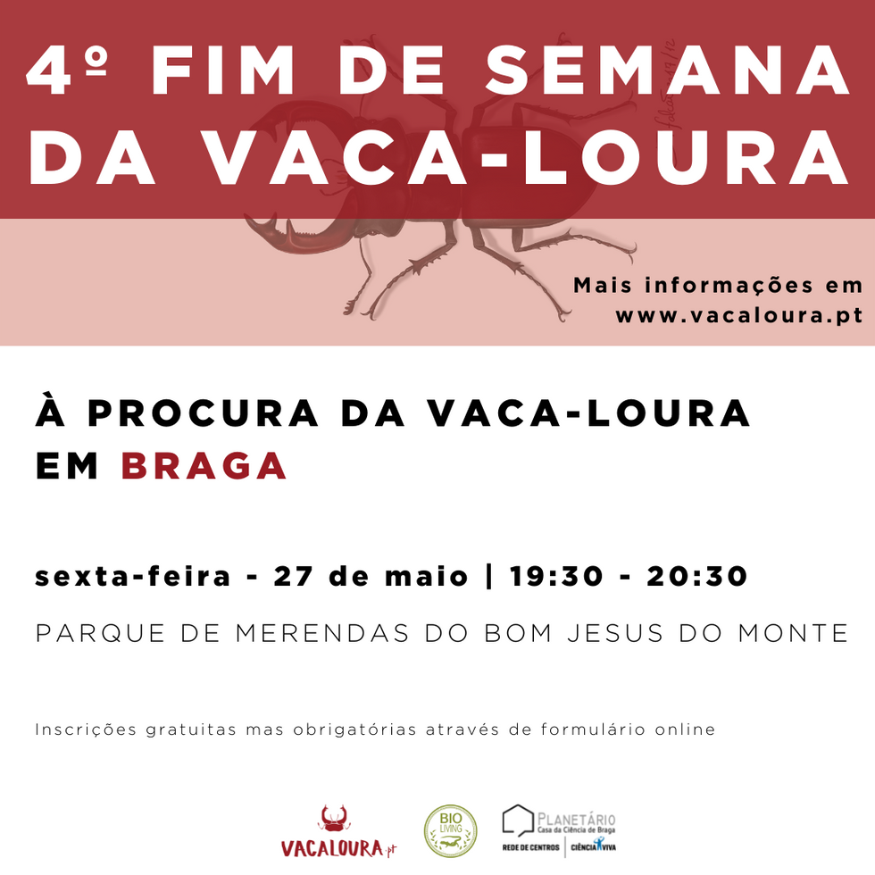 4º Fim-de-Semana da Vaca-loura  