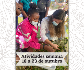 Atividades científicas de 18 a 23 de outubro