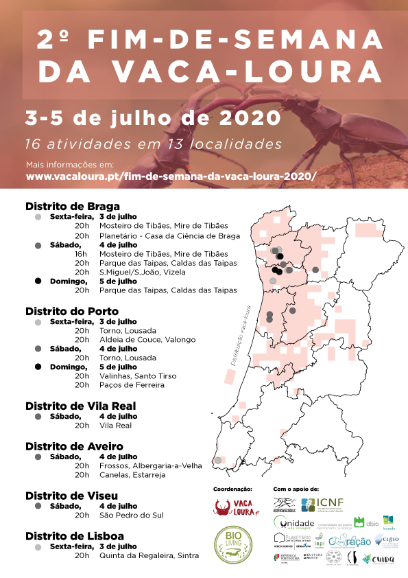 Chegou o 2º fim-de-semana dedicado à vaca-loura!