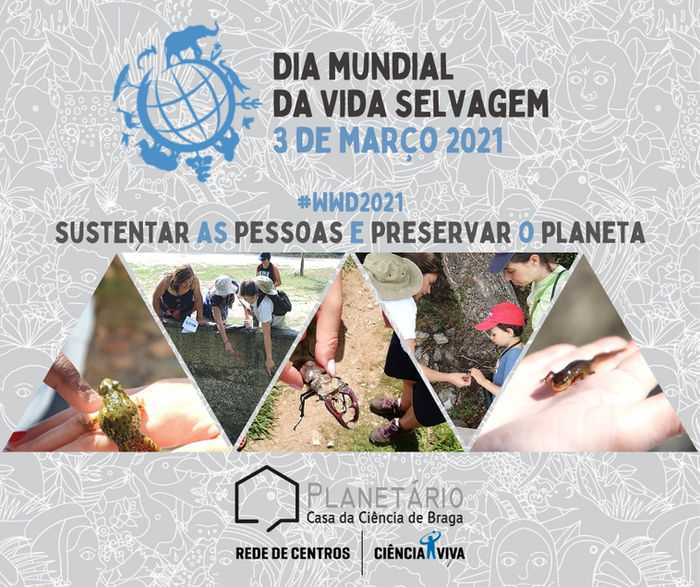 Dia Mundial da Vida Selvagem