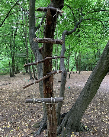 After School Forest Club (15).jpg