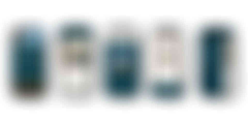 illustrator_Green fish-.jpg