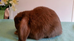 37836741_2122633231111188_13693511944844