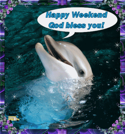 dolphin2.gif