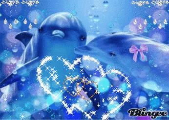 dolphin1.gif