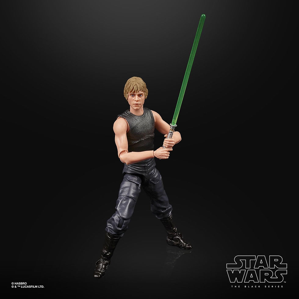 Miniatura: LUKE SKYWALKER - Black Series