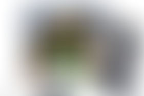 Smashing Arrows Archery Repair Cost