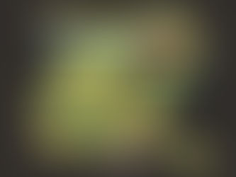 VOLUMELLA | 29 Maggio - 5 Giugno MMXXV