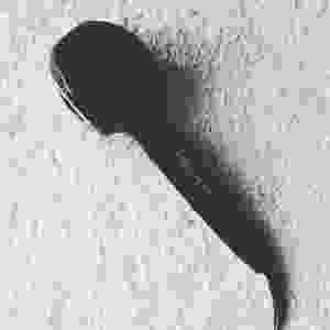 11821842_1673696642875169_851549352_n
