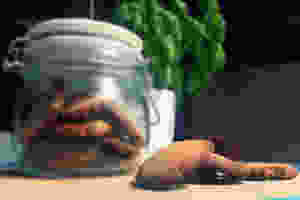 20150512_122248