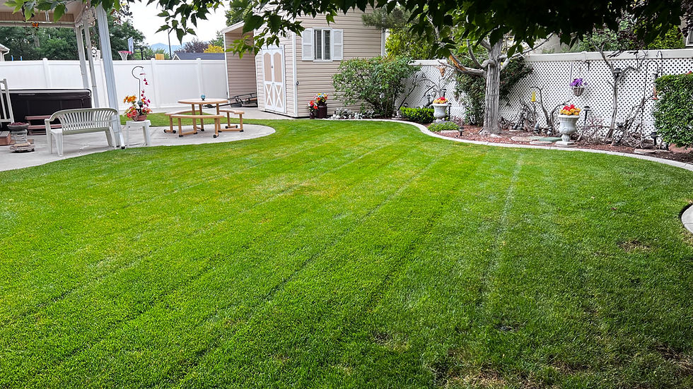 About Amador Landscaping